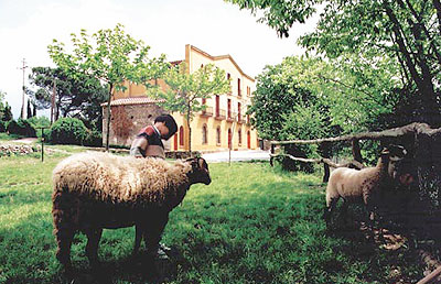 2008_08_04___253234710___farga_del_montseny_1%5B1%5D.jpg